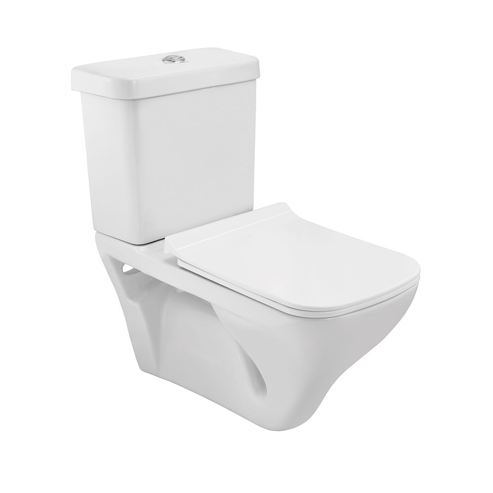 Essco Bowl with Cistern for Extended Wall Hung WC White finish