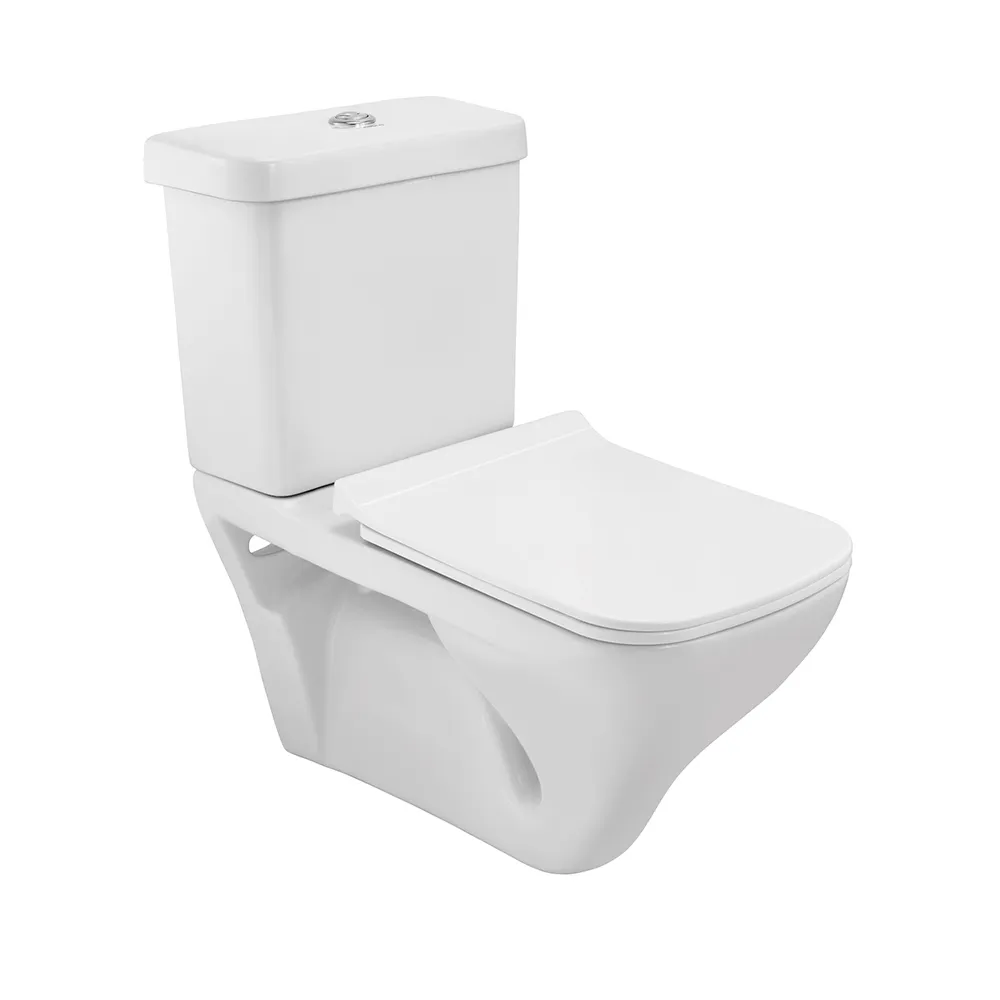 Essco Bowl with Cistern for Extended Wall Hung WC White finish