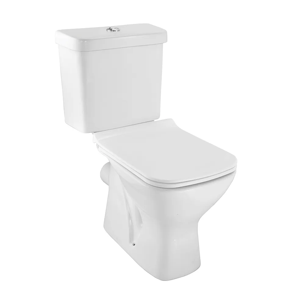 Essco Bowl with Cistern for Coupled WC White finish