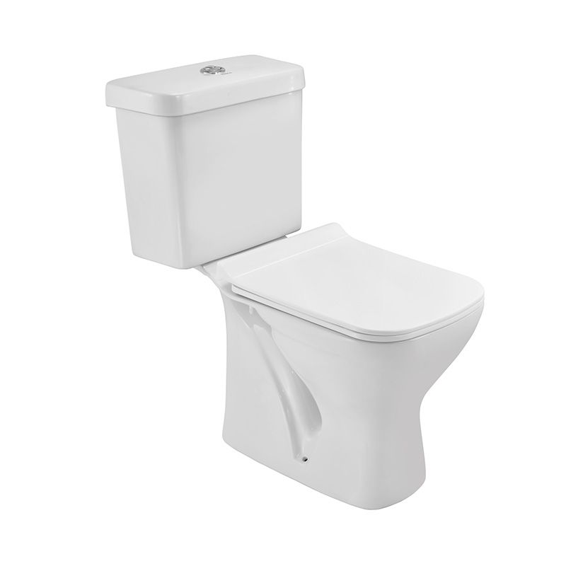 Essco Bowl with Cistern for Coupled WC White finish