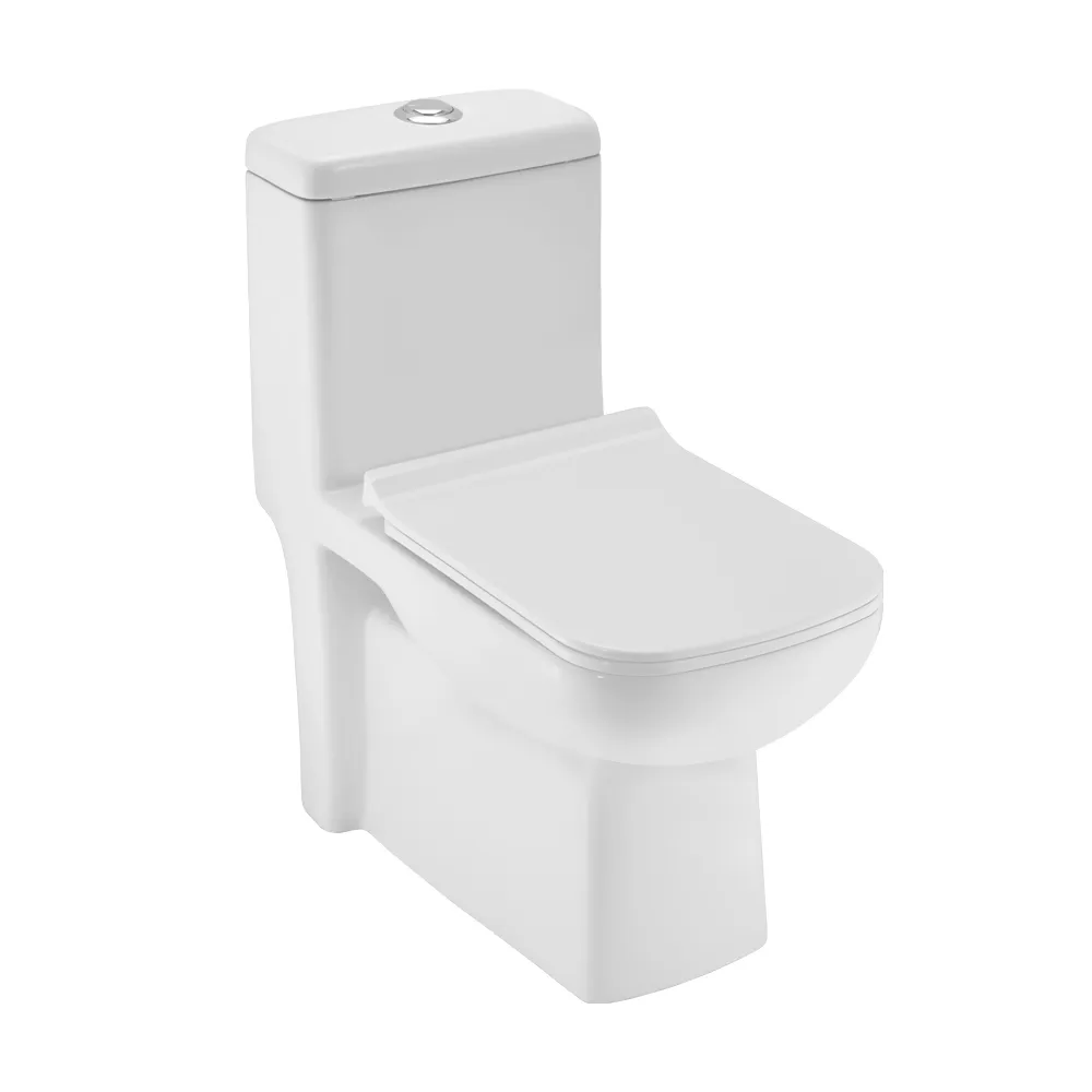 Essco Single Piece WC White finish
