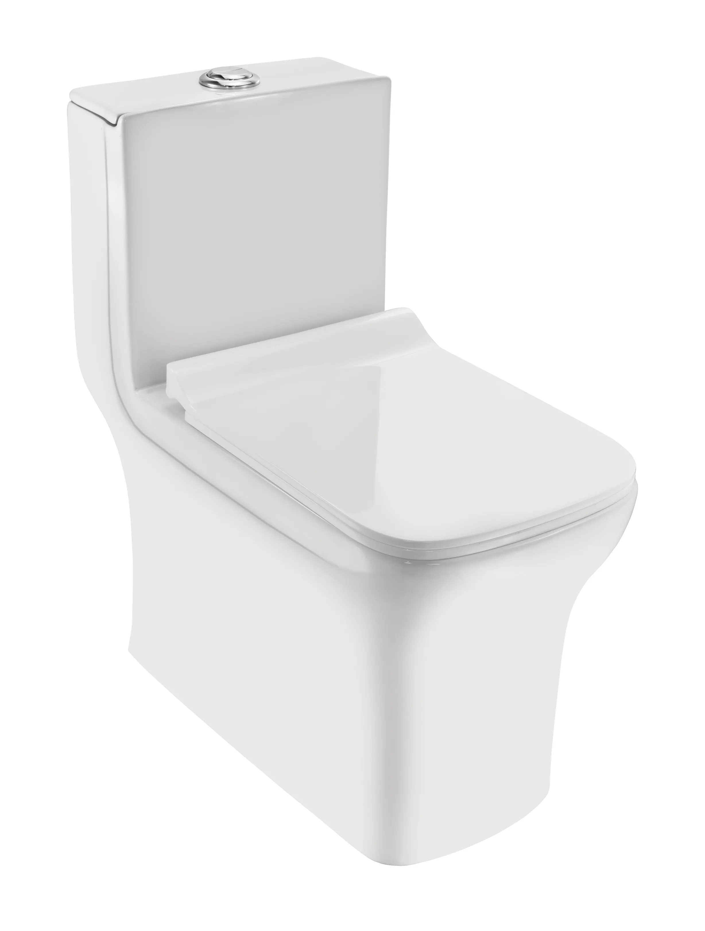 Essco Rimless Single Piece WC White finish