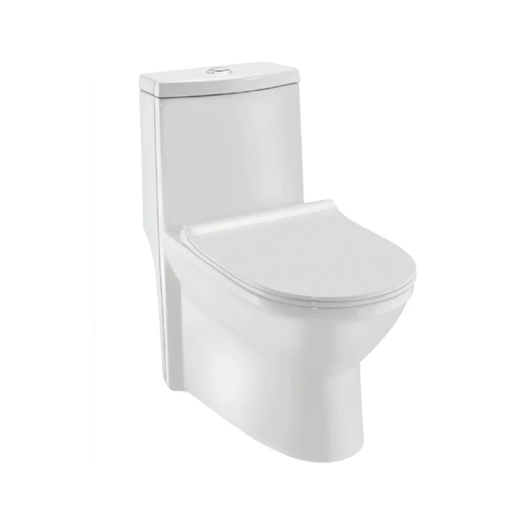 Essco Elements Single Piece WC White finish